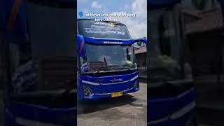 JJ po jangulee trans bintang dan galacutes jetbus 5 short [upl. by Eusassilem784]