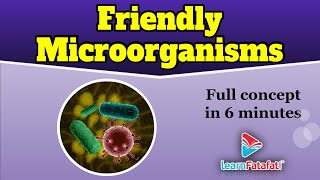 Class 8 Science Chapter 2 Microorganisms Friend and Foe  Friendly Microorganisms [upl. by Compte625]