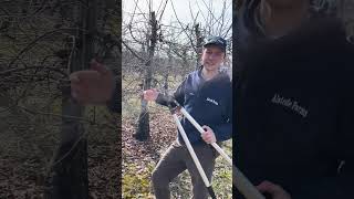 Pruning in our Orchards [upl. by Ziom]