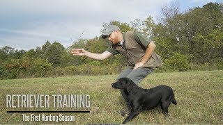 Labradors First Hunting Season  Labrador Retriever Training [upl. by Hance966]