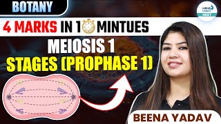 Stages of Prophase 1 of Meiosis 1  🎯4 Marks in ⏰ 10 Minutes  Class 11 botany  NEET 2025 [upl. by Chura]