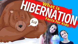 What is Hibernation  Hibernation For Kids [upl. by Esidnac]