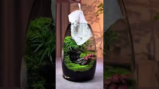 Micro landscape Chinese style landscaping Moss micro landscape bonsai [upl. by Kumagai]