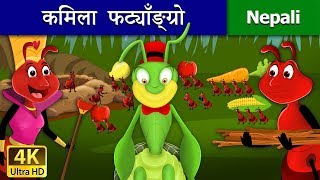 कमिला फट्याँङ्ग्रो  The Ant and The Grasshopper in Nepali  Nepali Fairy Tales  Wings Music Nepal [upl. by Vic]