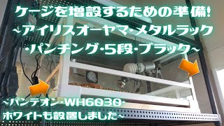 ケージを増設するための準備！ 〜アイリスオーヤマ・メタルラックパンチング・5段・ブラック〜 〜パンテオン・WH6030・ホワイトも設置しました〜 [upl. by Ayardna]