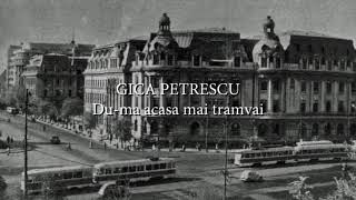 Gica Petrescu  Duma acasa mai tramvai lyrics versuri karaoke [upl. by Zwiebel]