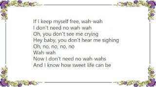 George Harrison  WahWah Lyrics [upl. by Annamarie]