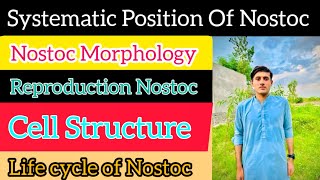 Systematic Position Of Nostoc  Reproduction Life Cycle of Nostoc [upl. by Nirre]