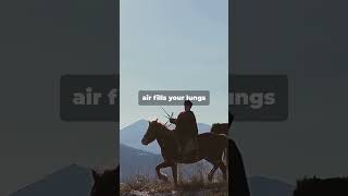 Exploring The American Highlands By Horseback Horse Riding Holidays New Video ancientamerica [upl. by Ennoira]