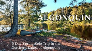 Spring Adventure 5 Days Solo Canoeing the Remote Northern Lakes of Algonquin Park [upl. by Marie-Ann]