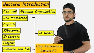 Structures Present in Bacteria And their Functions  Prokaryotes [upl. by Tomi354]