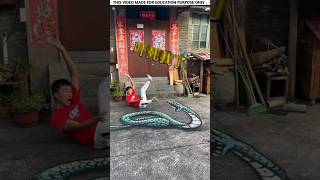 3D Snake Painting 🤯  New Viral Gedgets Smart Appliances Kitchen Utensils shorts [upl. by Ney]