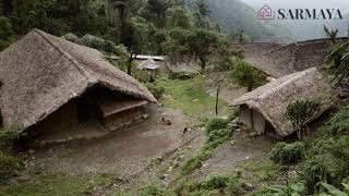 Who are the Konyaks of Nagaland [upl. by Gaultiero]