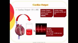 hemodynamic [upl. by Malita]