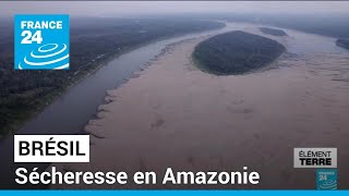 Brésil  sécheresse en Amazonie • FRANCE 24 [upl. by Kele895]