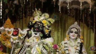 2016 Sri Sri Radha Madhava Pushya Abhishek  Photos by Nrsimha dasa [upl. by Ferriter]