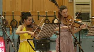 Peter Maxwell Davies Farewell to Stromness  LGT Young Soloists [upl. by Rider236]