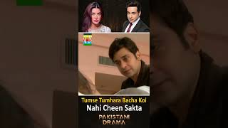 Tumse Tumhara Bacha Koi Nahi Cheen Sakta  Pakistani Drama  Heeramandi [upl. by Navap885]