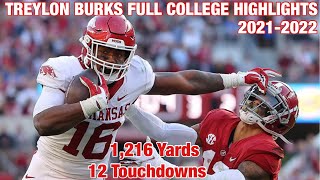 Treylon Burks Full 20212022 College Football Highlights  Arkansas Wide Receiver [upl. by Magnus]