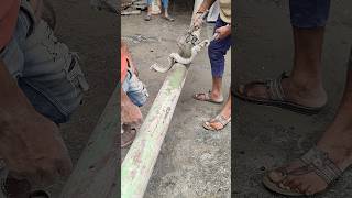 Clamp Fitting Daily updates for civil engineer civilengineering concrete shorts [upl. by Elleirad213]