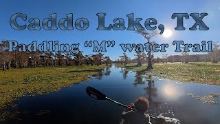 Caddo Lake TX Paddling quotMquot water trail November 13 2024 [upl. by Maillil59]