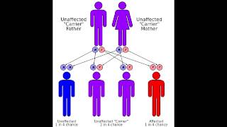 Friedreichs Ataxia  Causes Symptoms amp Mnemonics [upl. by Lered]