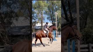 lesson montage  riding again today hopefully gonna get some good vids 🤞 [upl. by Cyrillus]