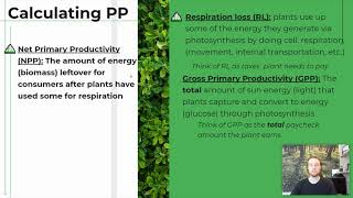 APES Notes 18  Primary Productivity [upl. by Marlee]