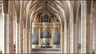 Johann Sebastian Bach – „Toccata dMoll“⎜Albrecht Koch an der SilbermannOrgel im Freiberger Dom [upl. by Nitas]