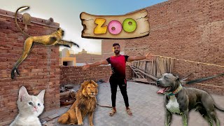 Hamary New Mini Zoo Ki Construction Start Hony Wali Hai Surprise 😍 [upl. by Selig403]