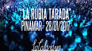 DIVIDIDOS  La Rubia Tarada Pinamar 28012017 [upl. by Tegan54]