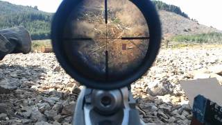 Ruger 1022 22lr shooting at 325 meters [upl. by Nilak175]