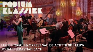 Lucie Horsch amp Orkest van de Achttiende Eeuw  Bach  Klavecimbelconcert BWV 1053  Podium Klassiek [upl. by Assirralc]