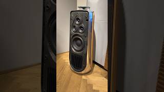 Bang amp Olufsen Beolab 50 Floor Standing Speakers speakers noise floorstanding [upl. by Aneeroc]