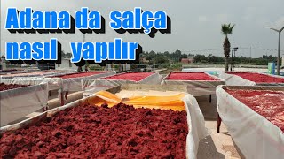 Meşhur adana biber salçası nasıl yapılır Biber yetiştiriciliği mersin tarsus [upl. by Notniv]