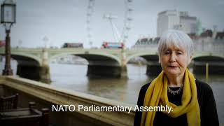 NATO PA 65th Annual Session London 1114 October 2019 [upl. by Tnemelc]