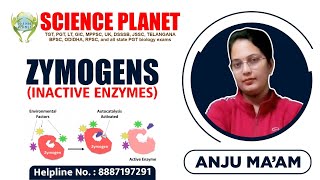 Zymogens Inactive Enzymes Explain by Anju Mam of Science Planet [upl. by Nairim]