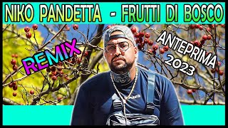 Niko Pandetta  Frutti Di Bosco Pletto Anteprima Remix 2023 [upl. by Tsenrae]