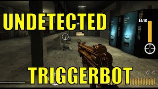 Double ActionBoogaloo Triggerbot Hack 2017 [upl. by Aicel195]