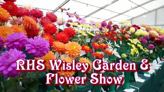 RHS Wisley Garden amp Flower Show 2021 National Dahlia Society Novice vs Chilli  Out amp About [upl. by Ardnaid810]