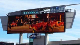 Cincinnati Bengals kickoff video [upl. by Fransen]