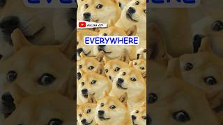 How a Shiba Inu Conquered the Internet doge dogememe [upl. by Carrelli514]