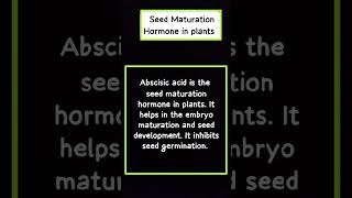 seed Maturation and hormones in plants biology [upl. by Aracal]