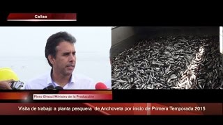 Visita de trabajo a pesquera de anchoveta por temporada 2015 [upl. by Cruz]