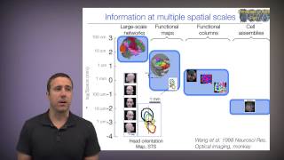 Principles of fMRI Part 1 Module 10a Spatial and temporal resolution [upl. by Elonore]