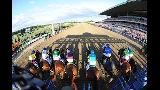 2021 Belmont Stakes Preview and Tips [upl. by Naloj498]