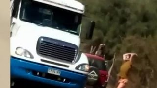 Camionero recibió fuerte piedrazo tras atropellar a un perro  CHV Noticias [upl. by Refeinnej624]