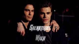 Damon and stefan Salvatore walking together 🥵 [upl. by Alfreda]