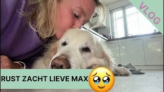 Rust zacht lieve Max ❤️ VLOG230 Ingrid Speijer en leven met pijn [upl. by Simmonds]