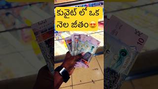 కువైట్ లో మా Wife ఒక నెల జీతం kuwaitteluguvlogs teluguvlogs indiansinkuwait kuwaitvlog vlog [upl. by Verner]